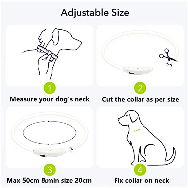 Azura | Light Up Dog Collar, USB Rechargeable LED Glowing Collar