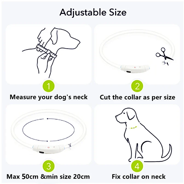 Azura | Light Up Dog Collar, USB Rechargeable LED Glowing Collar