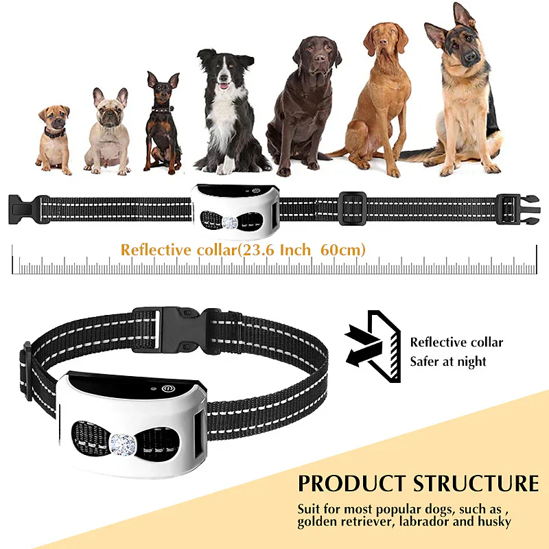Azura | 2-in-1 Wireless Dog Fence & Outdoor Training Collar
