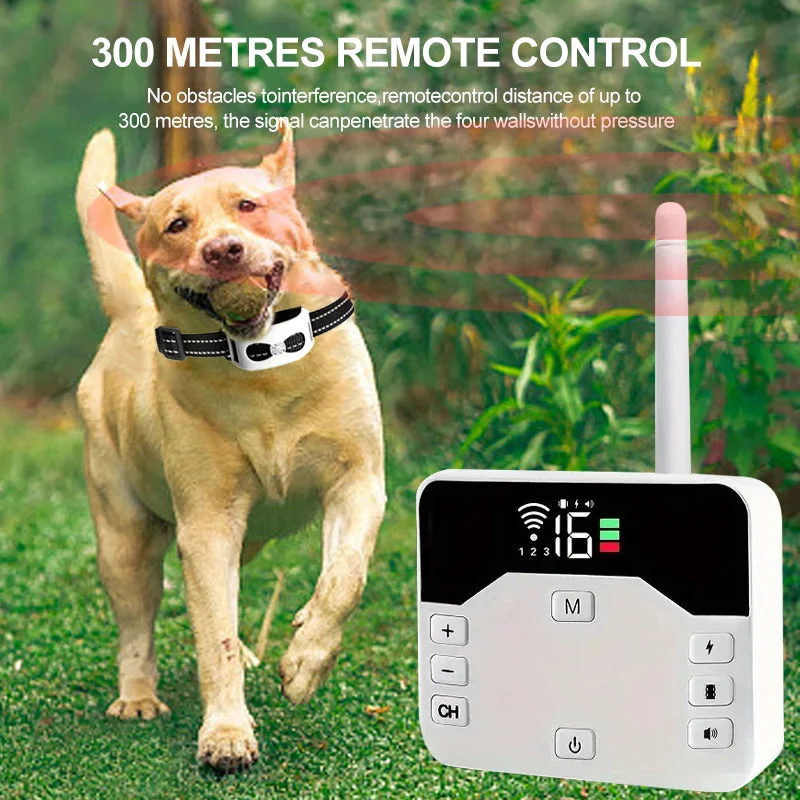 Azura | 2-in-1 Wireless Dog Fence & Outdoor Training Collar