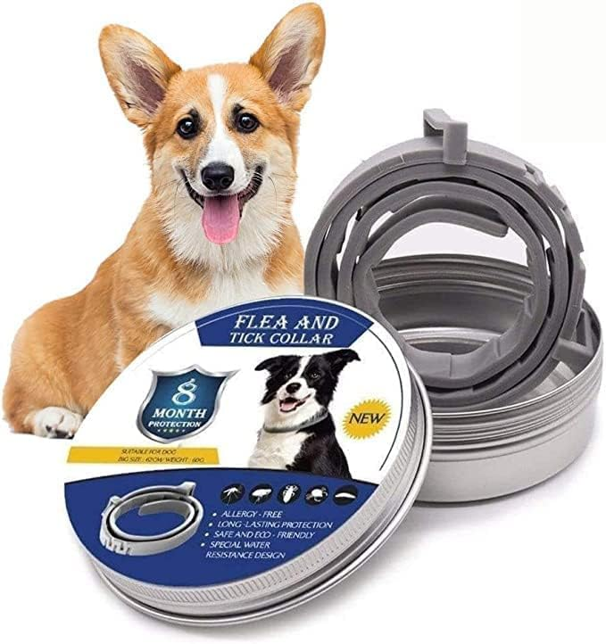 Azura | Tick and Flea Protection Collar