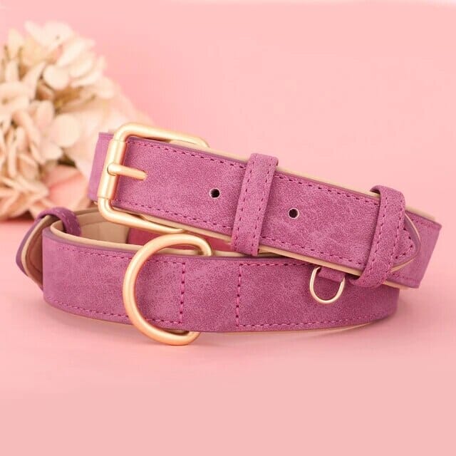 Azura Pup Collar