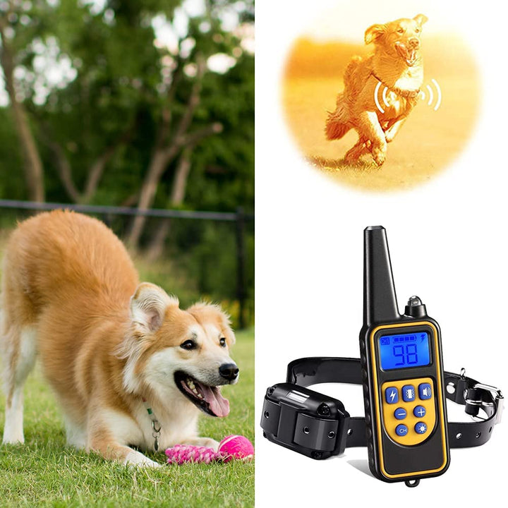 Azura | Dog training collar waterproof remote control