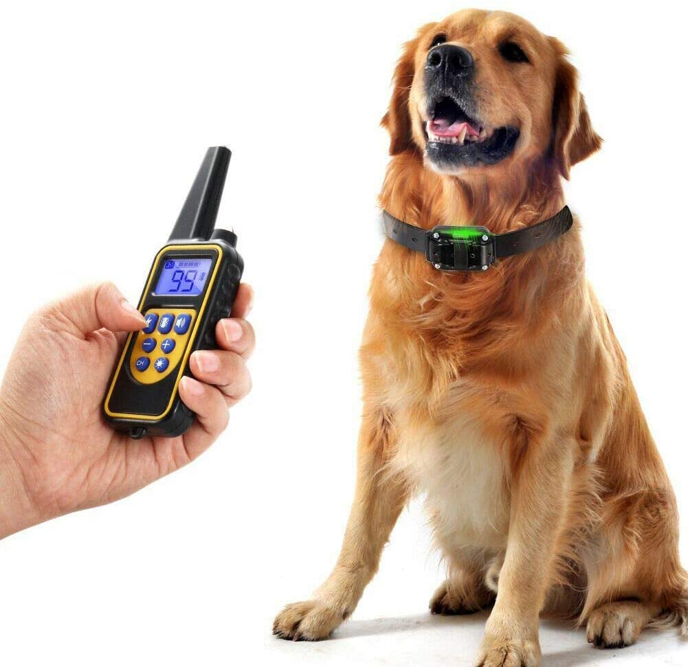 Azura | Dog training collar waterproof remote control
