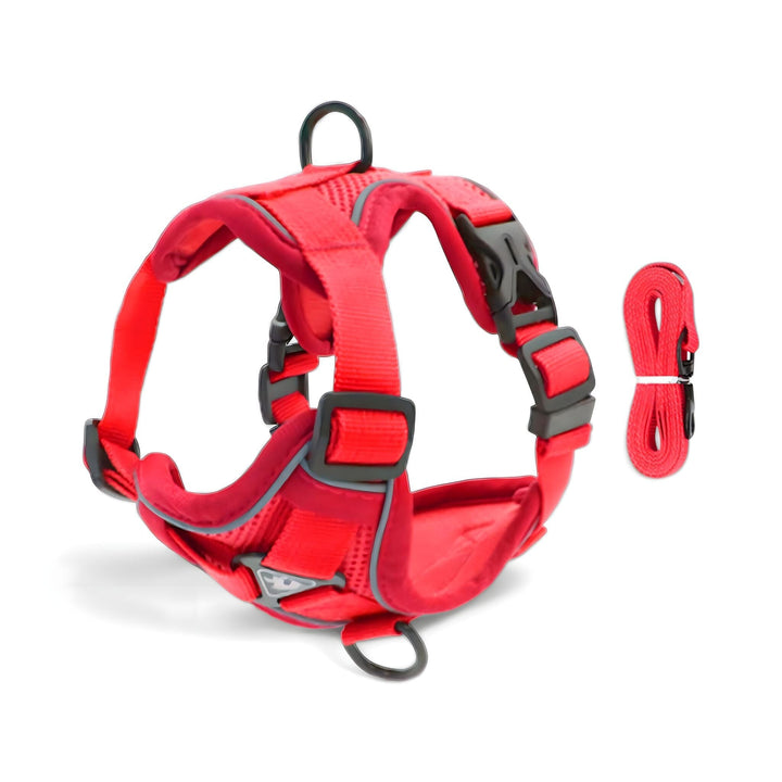 Azura Comfort Cat Harness