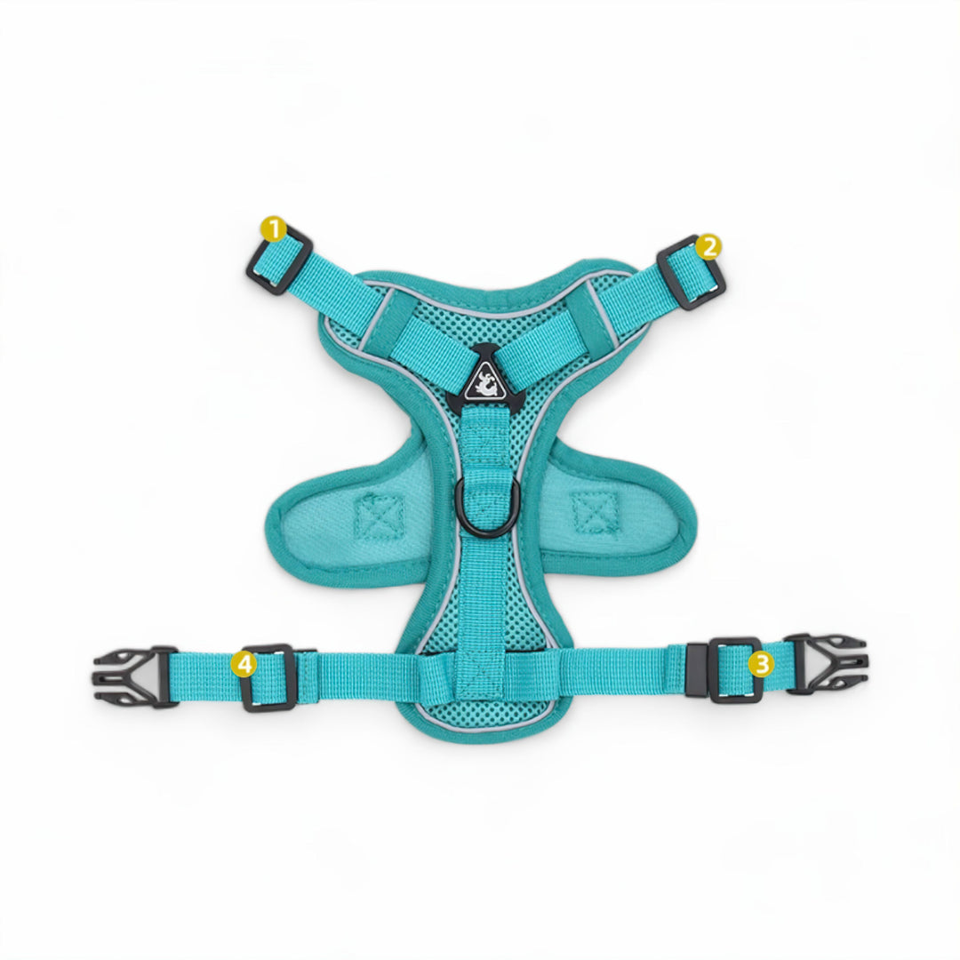 Azura Comfort Cat Harness