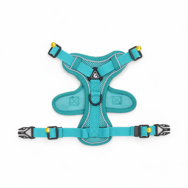 Azura Comfort Cat Harness