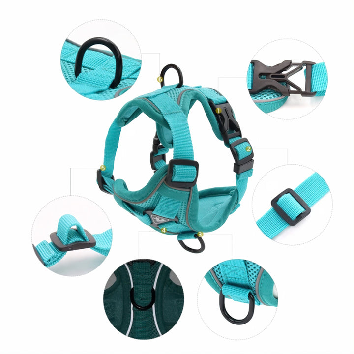 Azura Comfort Cat Harness