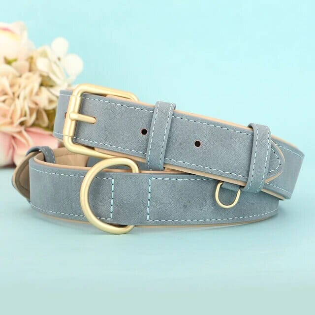 Azura Pup Collar