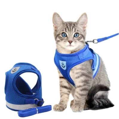 Azura | Reflective Cat Harness and Leash Set with Adjustable Straps for Safe Night Adventures – Comfortable Fit for Cats and Kittens