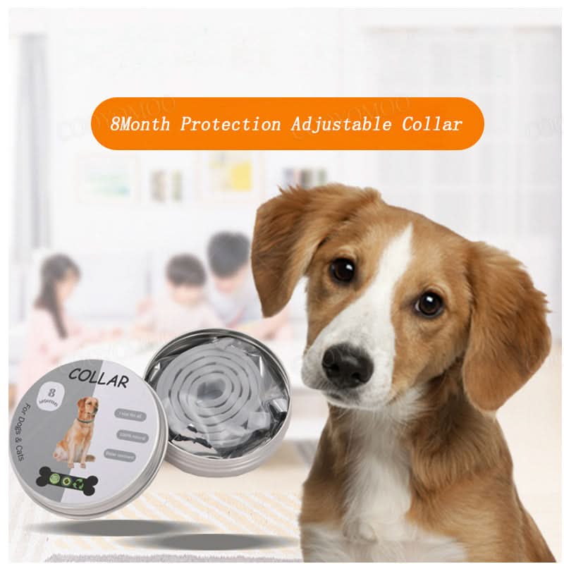 Azura | PAWTECT - Anti-tick and flea collar