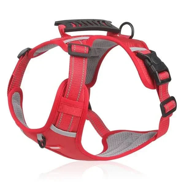 BowLift | Anti-Pull Dog Harness for Relaxed Walks