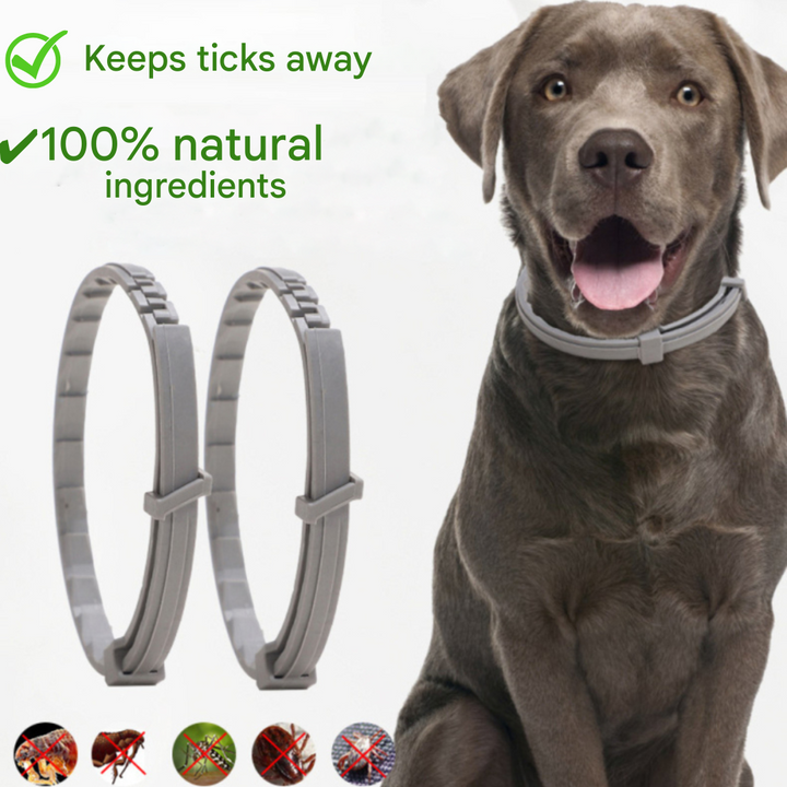Flea and Tick Collar - FleaGuard Azura