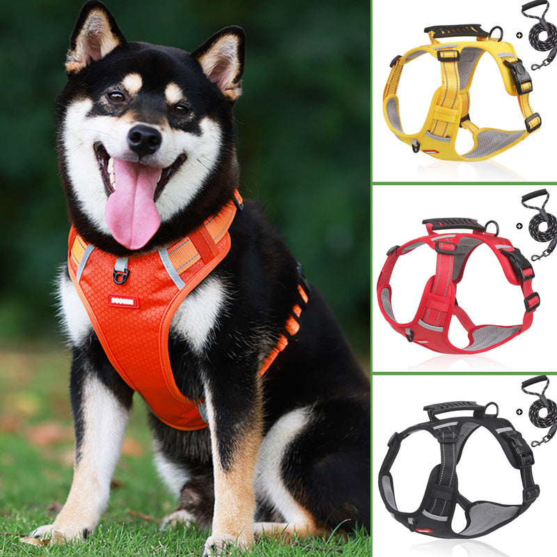Azura | Reflective Dog Harness