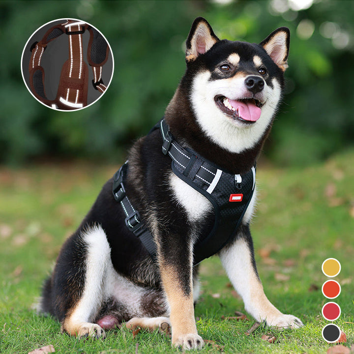 Azura | Reflective Dog Harness