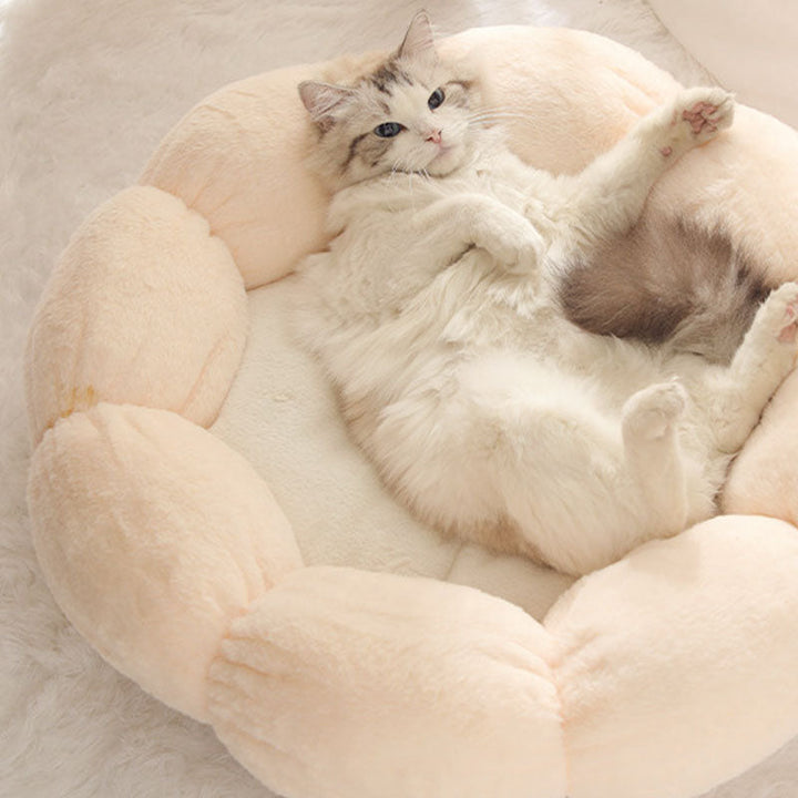 Azura | Deep Sleep Flower Shape Cat Bed