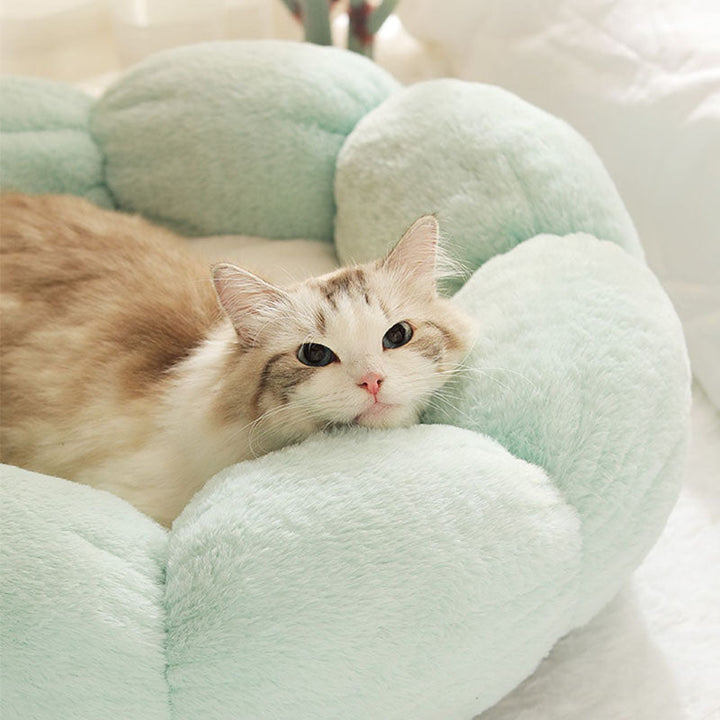 Azura | Deep Sleep Flower Shape Cat Bed
