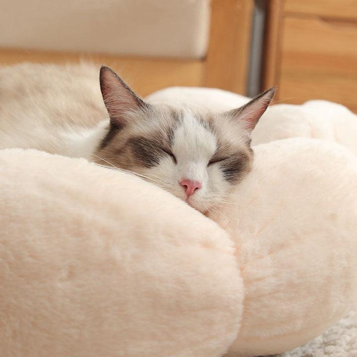 Azura | Deep Sleep Flower Shape Cat Bed