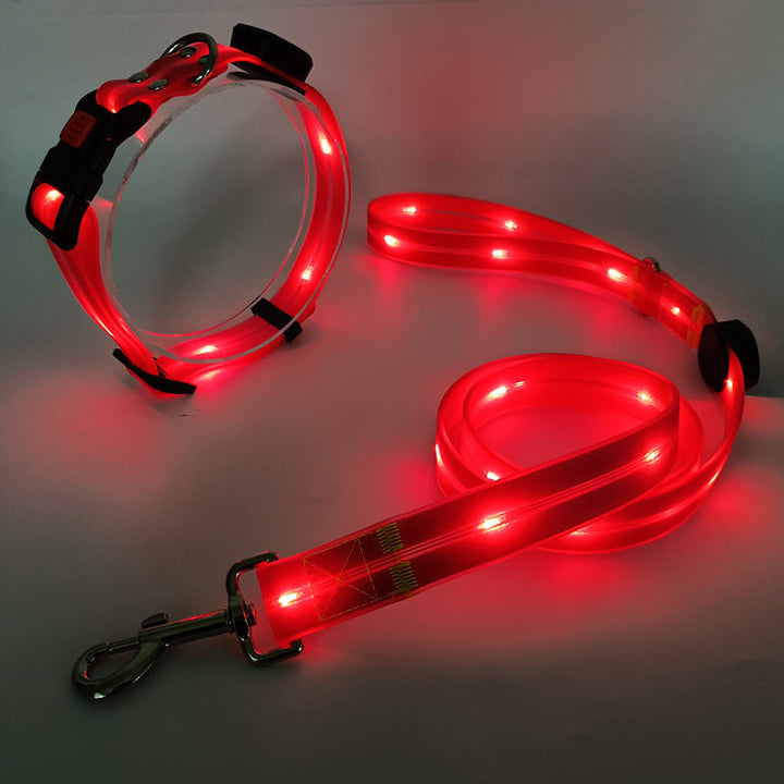 Glowing LED Dog Collar with Leash - NightBright Azura