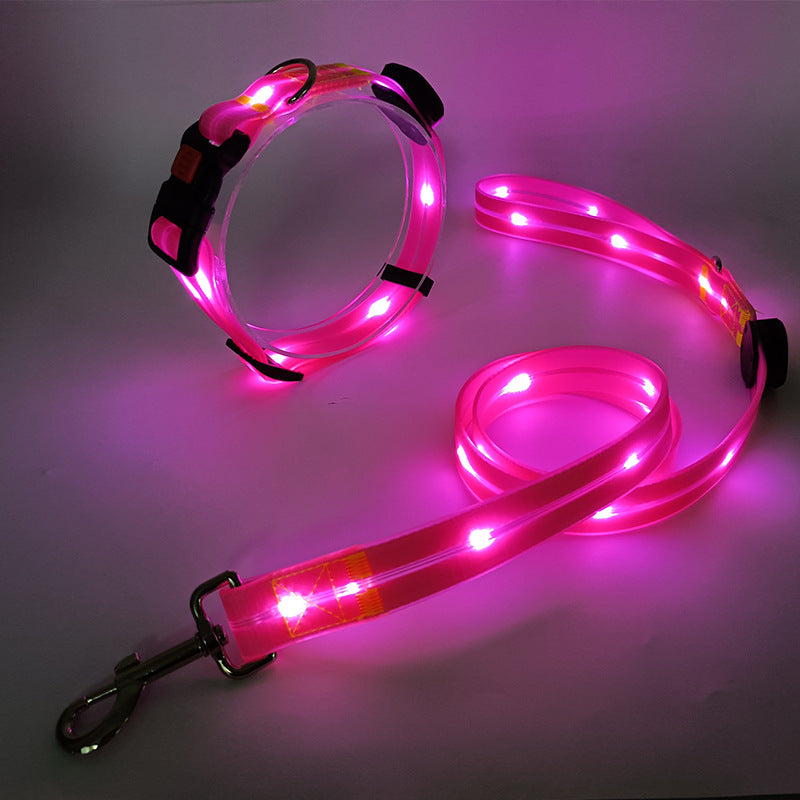 Glowing LED Dog Collar with Leash - NightBright Azura