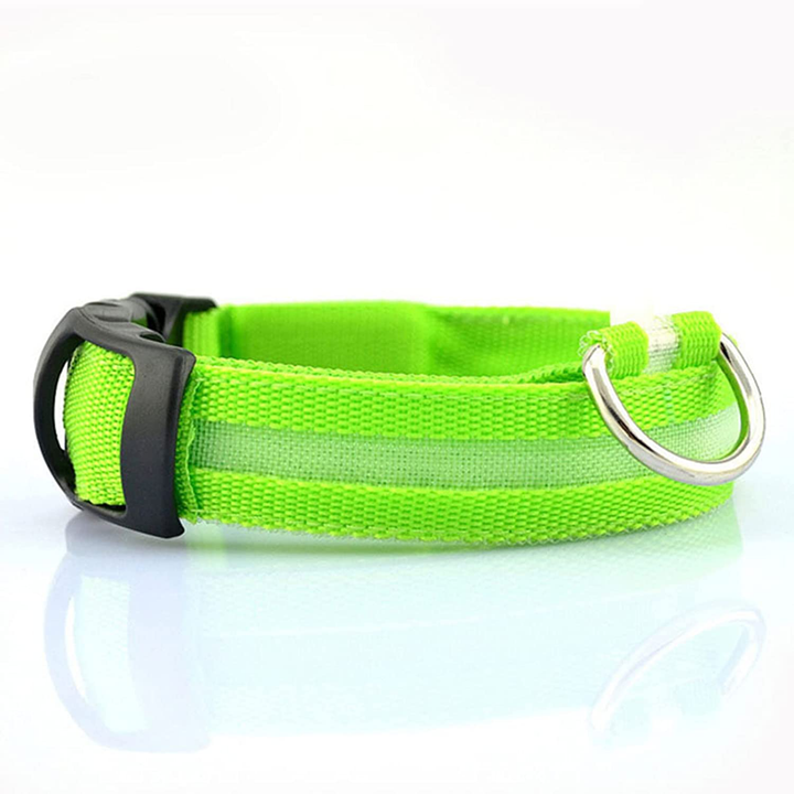 Azura | Luminous Animal Collar with LED Light – Rechargeable, Waterproof, Adjustable Fit for Enhanced Safety at Night