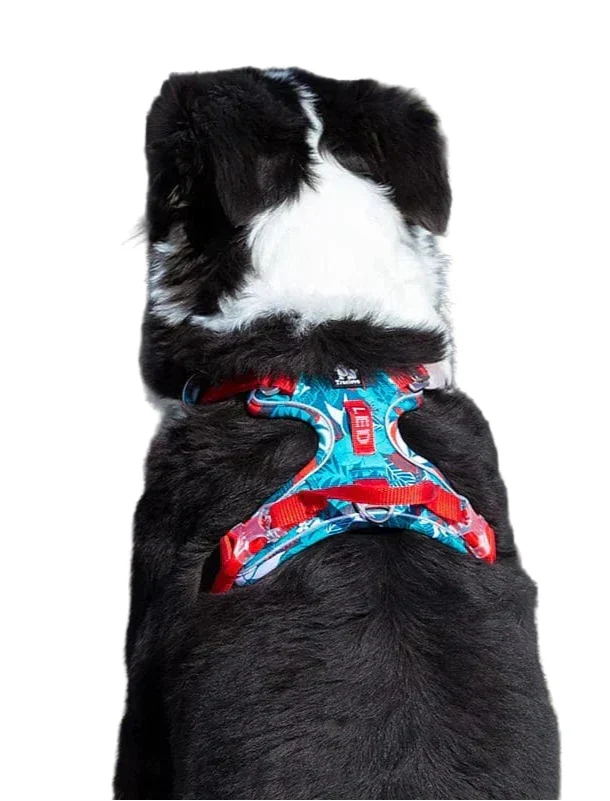 Comfortable & Durable Dog Harness – Vendo Azura