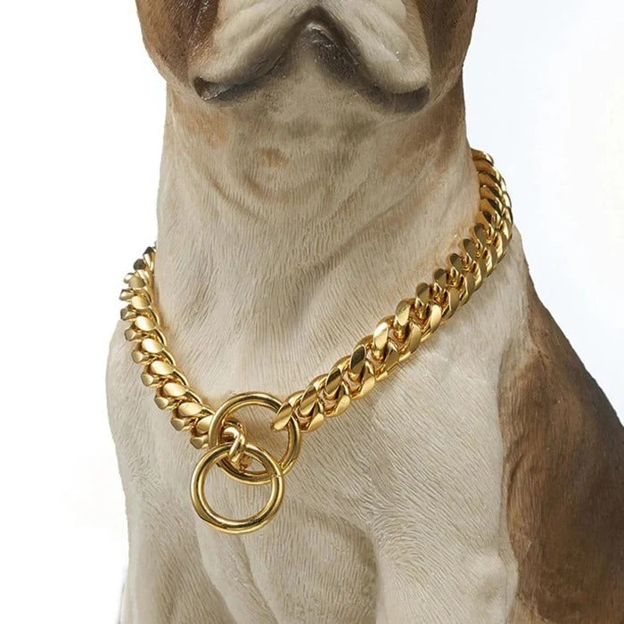 Azura | Heavy Duty Dog Collar