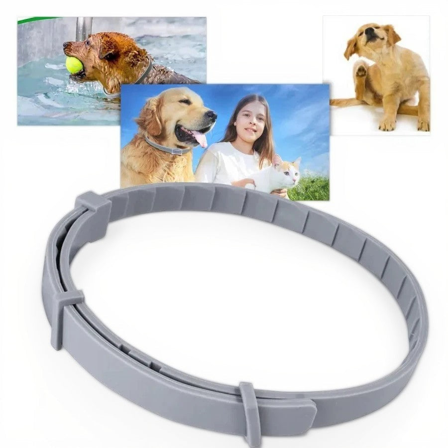 Azura | Adjustable Pet Flea and Tick Repellent Collar – For Dogs and Cats, Water-Resistant
