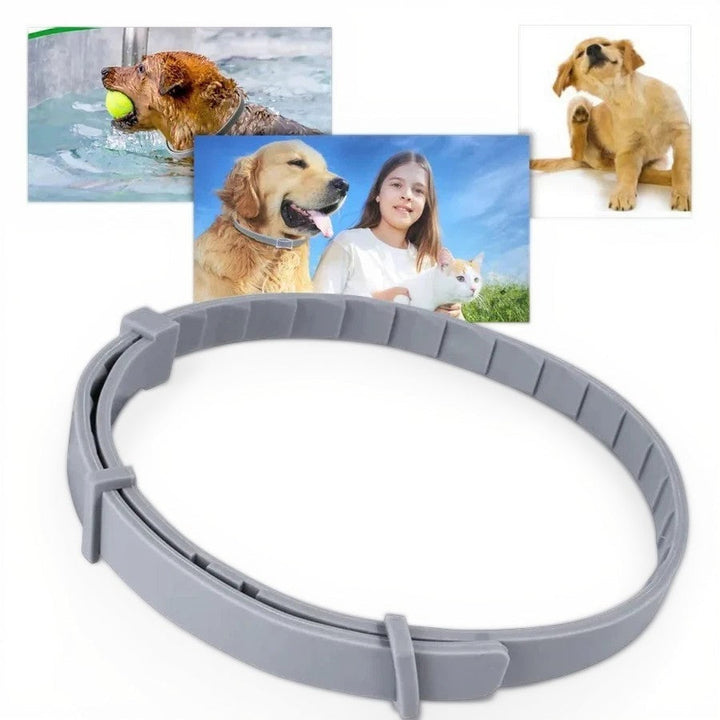 Azura | Adjustable Pet Flea and Tick Repellent Collar – For Dogs and Cats, Water-Resistant