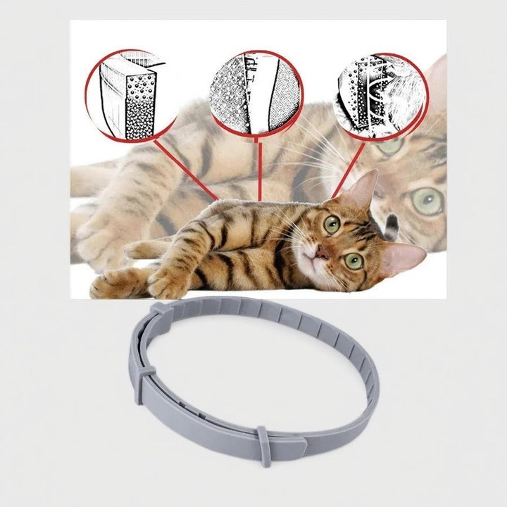 Azura | Adjustable Pet Flea and Tick Repellent Collar – For Dogs and Cats, Water-Resistant