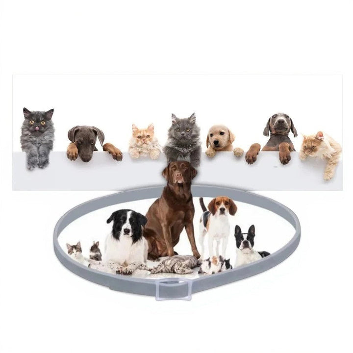 Azura | Adjustable Pet Flea and Tick Repellent Collar – For Dogs and Cats, Water-Resistant