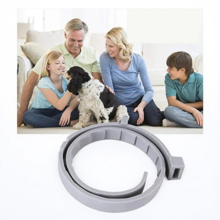 Azura | Adjustable Pet Flea and Tick Repellent Collar – For Dogs and Cats, Water-Resistant