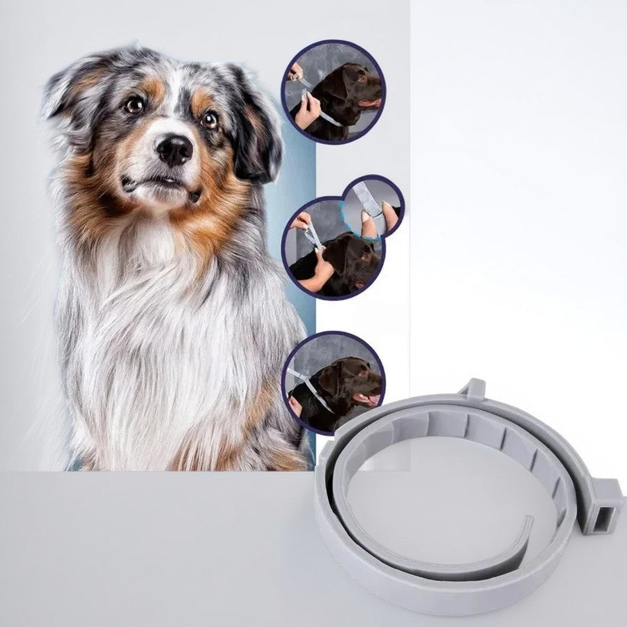 Azura | Adjustable Pet Flea and Tick Repellent Collar – For Dogs and Cats, Water-Resistant