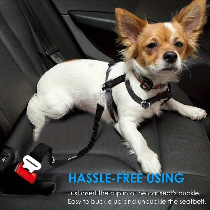 Azura | Pet Car Seat Belt Harness for Dogs