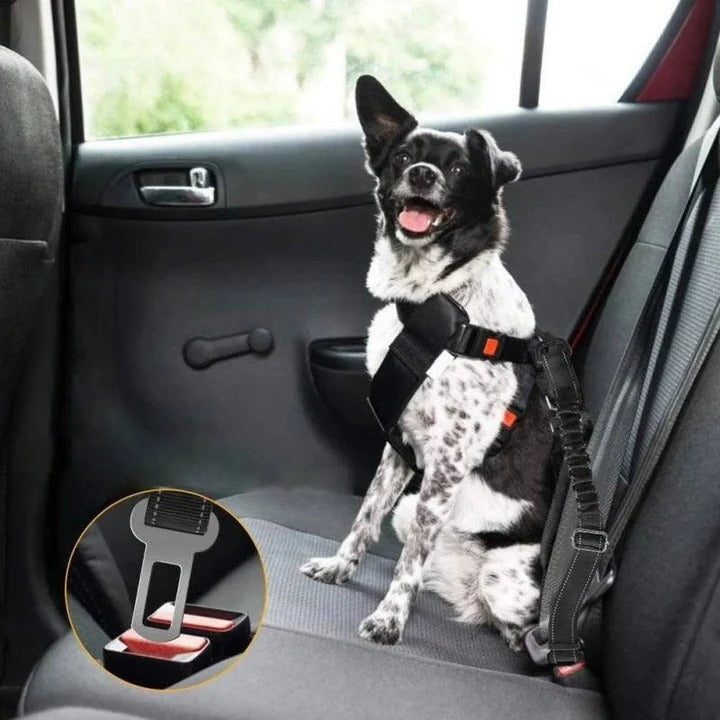 Azura | Pet Car Seat Belt Harness for Dogs