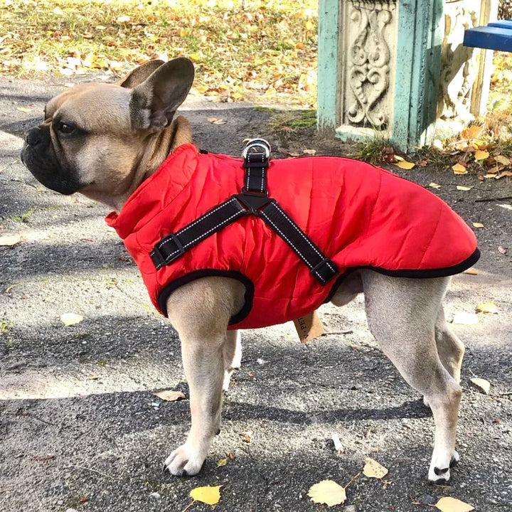 Azura | Waterproof Dog Jacket with Built-in Harness – Warm, Weather-resistant Dog Jacket for All Breeds