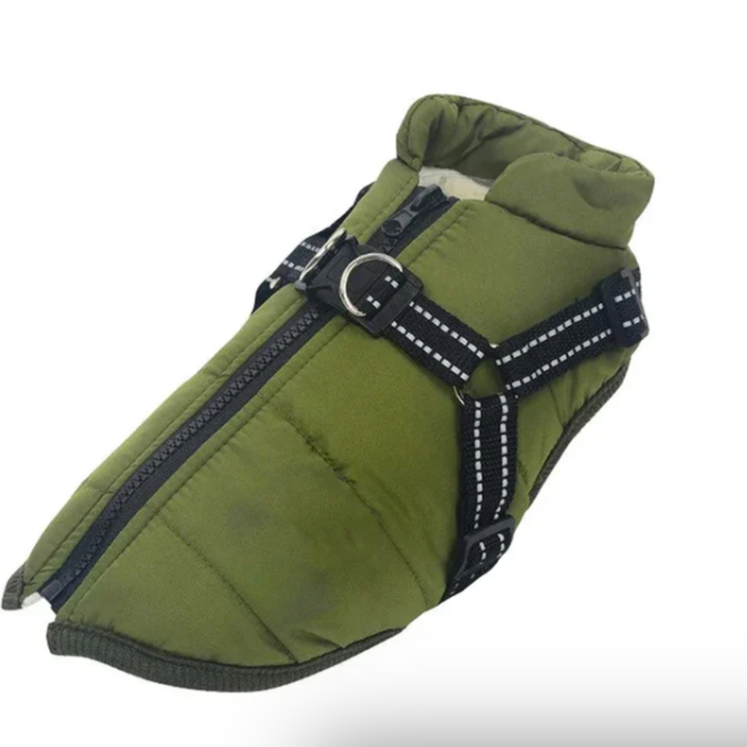 Azura | Dog Coat Harness Winter Walks