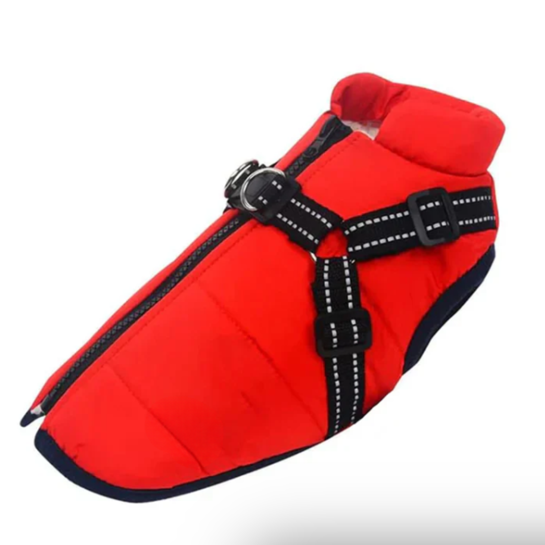 Azura | Dog Coat Harness Winter Walks