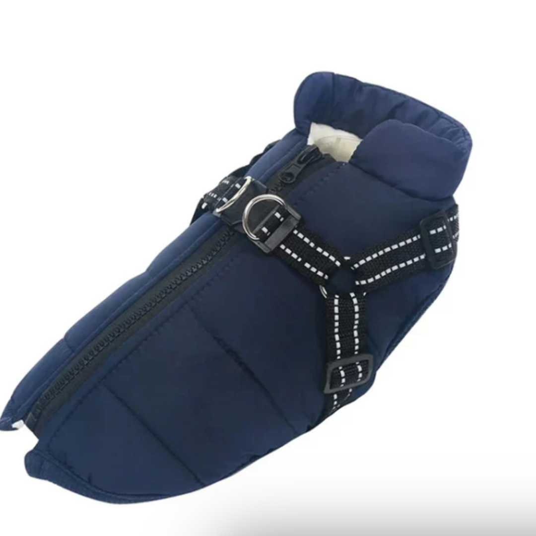 Azura | Dog Coat Harness Winter Walks