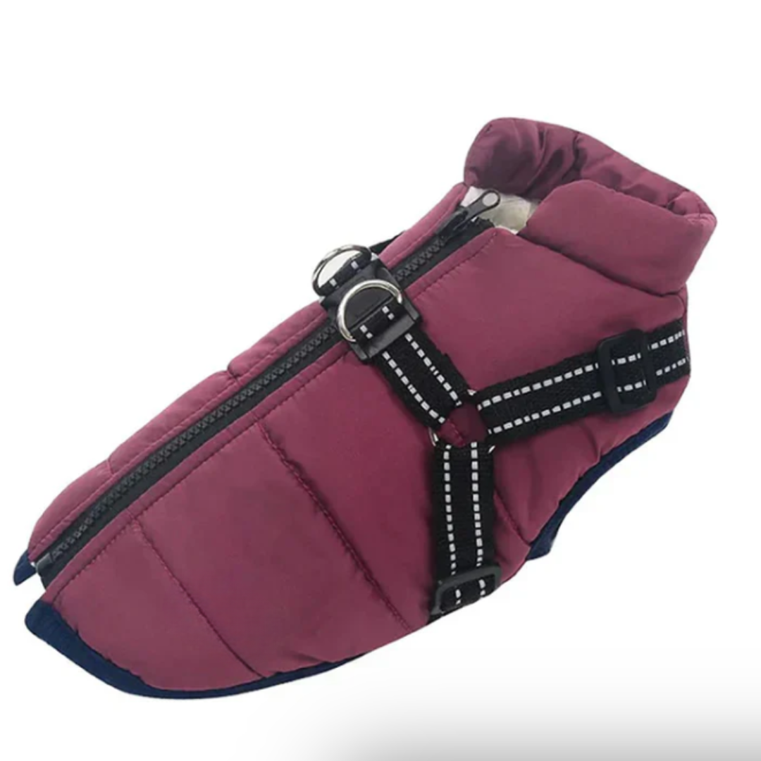 Azura | Dog Coat Harness Winter Walks