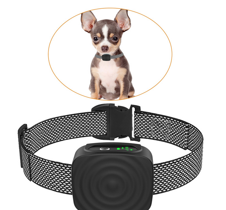 Azura | Dog Collar Anti Bark for Small Dogs