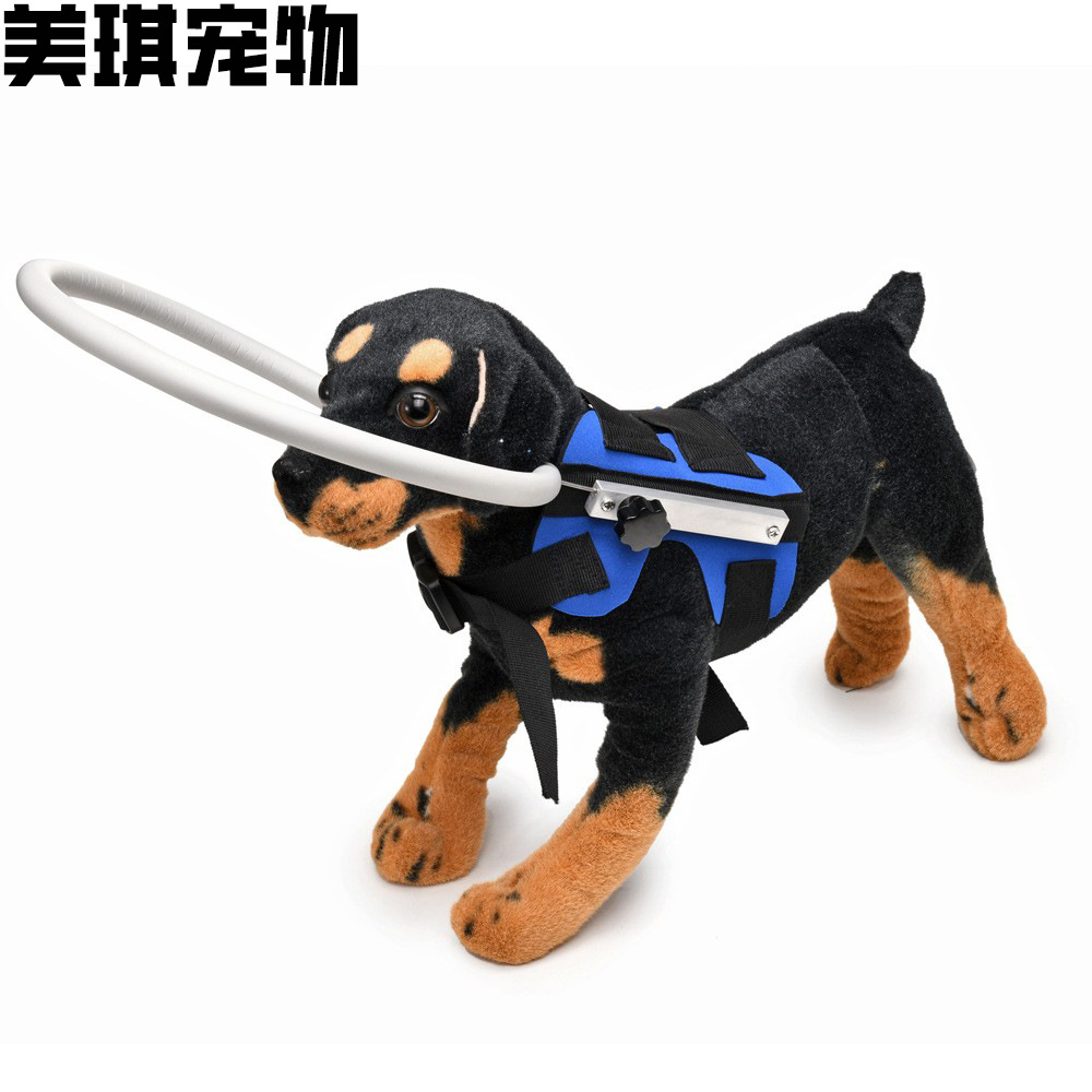 Azura | Dog Harness with Blind Guide Bumper Ring