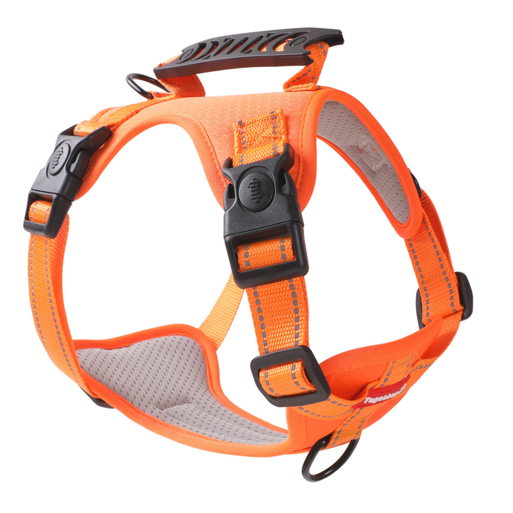 Azura | TailMate - The comfortable dog harness