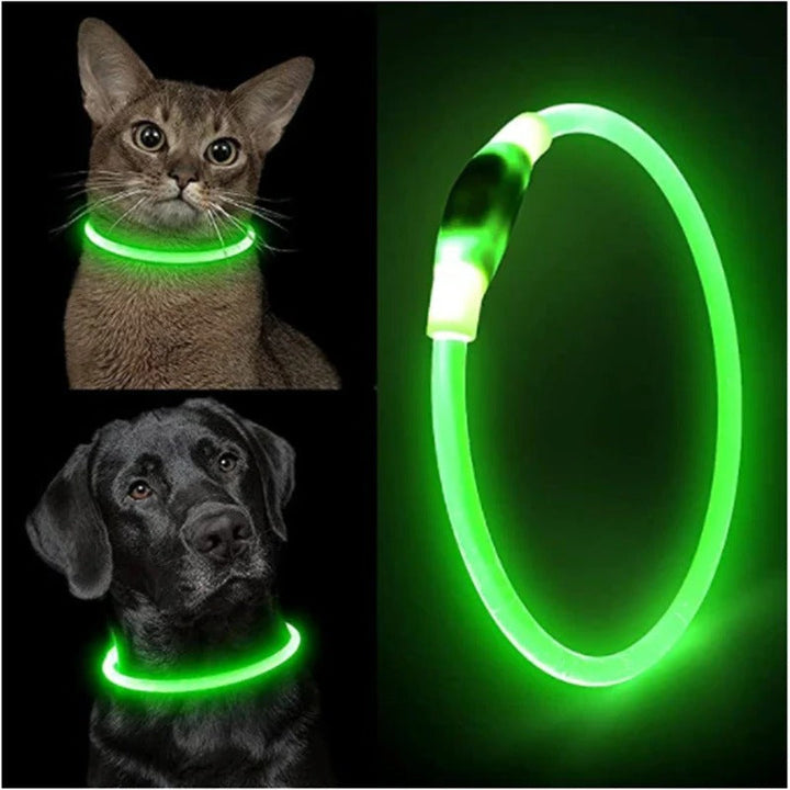 Azura | Light Up Dog Collar, USB Rechargeable LED Glowing Collar