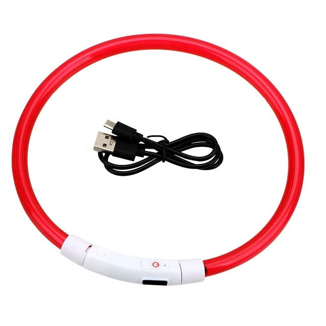 Azura | Light Up Dog Collar, USB Rechargeable LED Glowing Collar