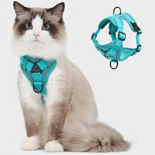 Azura | Reflective Cat Harness and Leash Set