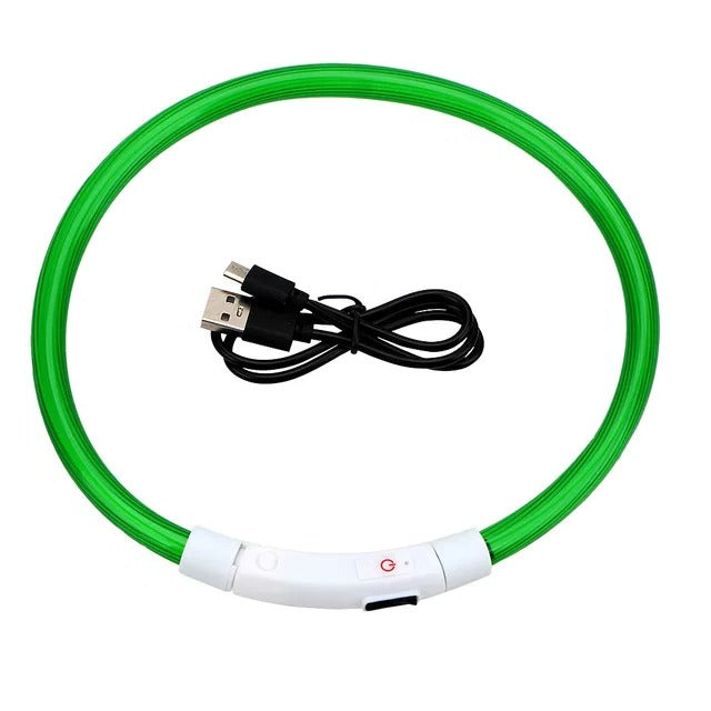 Azura | Light Up Dog Collar, USB Rechargeable LED Glowing Collar