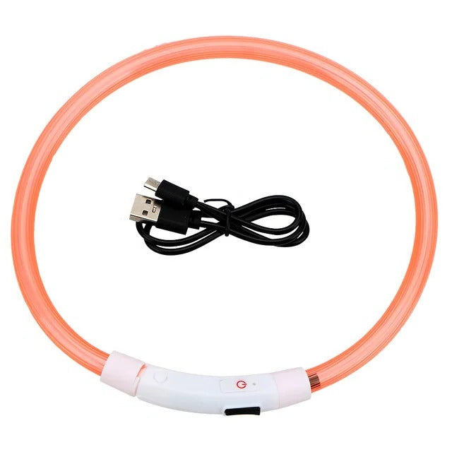 Azura | Light Up Dog Collar, USB Rechargeable LED Glowing Collar