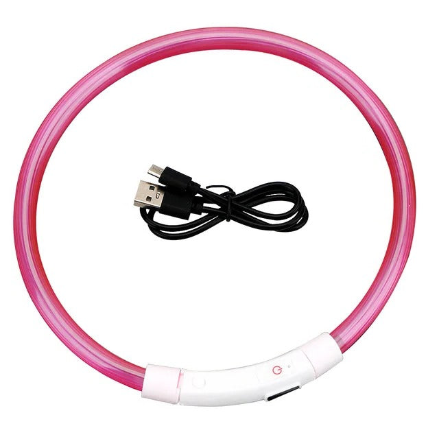 Azura | Light Up Dog Collar, USB Rechargeable LED Glowing Collar