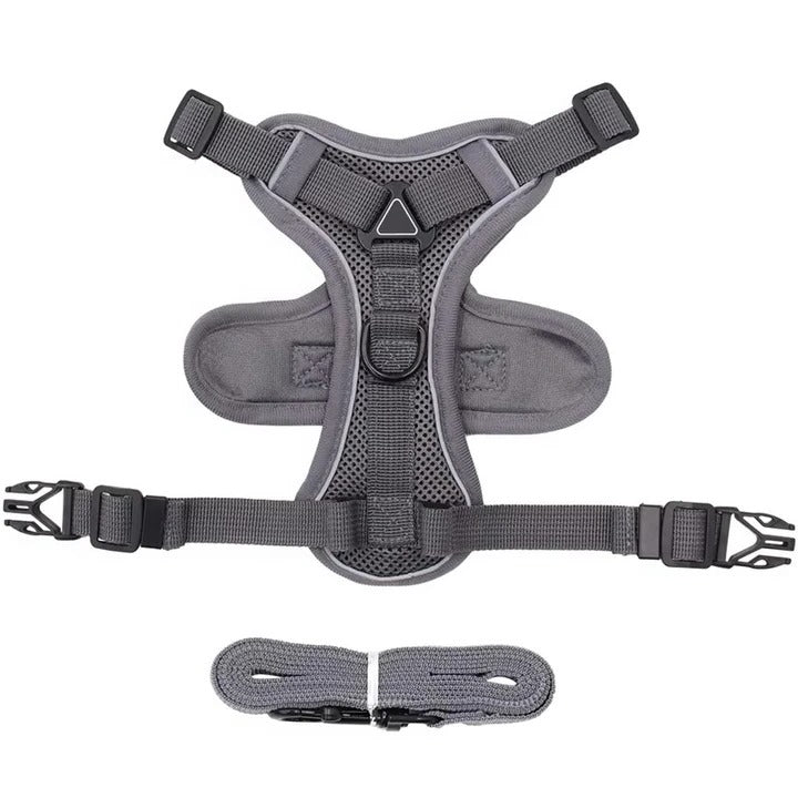 Azura | Reflective Cat Harness and Leash Set